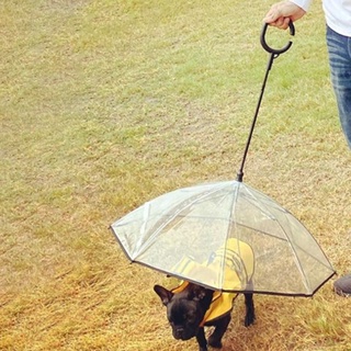 Paraguas para perros y gatos construido en correa para caminar, impermeable, resistente a la nieve (1)