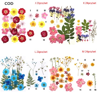 [COD] 24PCS Pressed Flower Mixed Dried Flowers DIY Art Floral Decors Collection Gift HOT
