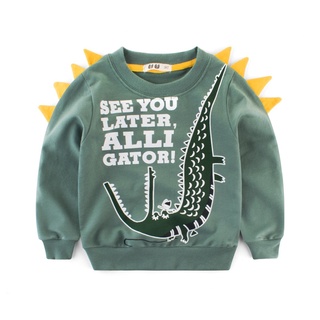 Sweatshirt Hoodies Boys Kids Toddler Girls Children Cotton Dinosaur Crocodile Cartoon Baby Tops Sweatshirts Winter Clothes Full