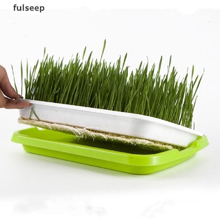 [Fulseep] Nursery Pot Seed Sprouter Tray Soil-Free Wheatgrass Grower Seedling Sprout Tray DSGC
