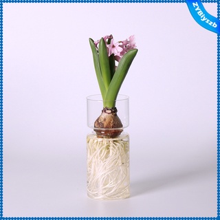 jarrón de flores de vidrio transparente hidropónico titular de plantas contenedor florero para pequeño (1)