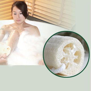venta caliente spa belleza orgánica luffa loffa esponja de baño esponja corporal