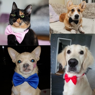 ★〓PetBest〓★Collar ajustable para mascotas, corbata de moño, accesorios para perros, color aleatorio (4)
