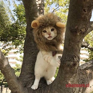 SIHAI mascota perro sombrero disfraz de león melena peluca para gato halloween vestido con orejas