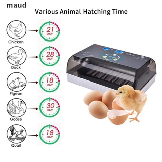 maud 12 Eggs Fully Automatic Egg Mini Incubator Automatic Temperature Control 220V . (6)