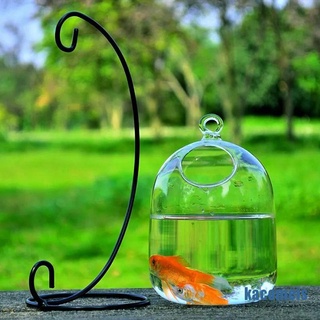 [KACM] hidropónico colgante de pared burbuja acuario peces vidrio DIY maceta jarrón decoración del hogar OEIS