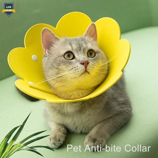 Ls lindo gato Elizabeth anillo mascota Anti-mordida Anti-aplastamiento sol flor Saliva toalla gato Collar suministros mascotas Collar cachorro