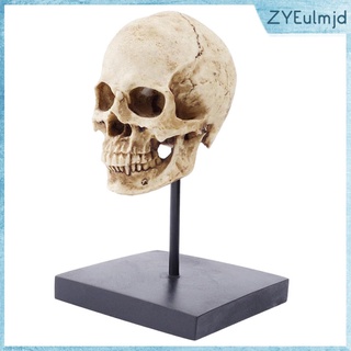 Resina 1 : 1 Réplica Realista Cráneo Humano Gótico Fiesta Decoración De Escritorio