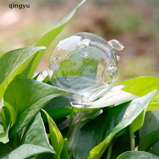 [qingyu] 11 tipos de plantas de vidrio para plantas, alimentador de agua automático, dispositivos de riego automático (6)