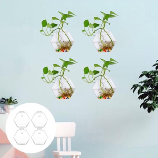 4Pcs Glass Hanging Vase Succulent Planter Flower Hexagon Terrarium Container