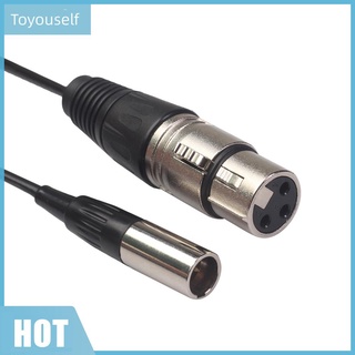 (TS) Mini XLR 3Pin a XLR 3Pin Cable de Audio macho a hembra Cable de micrófono de cámara (1)