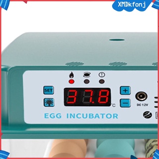 incubadora de huevos digital control de temperatura para huevos de pato máquina de incubadora (1)