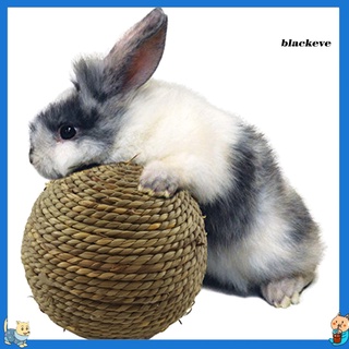 Bl-Rabbit loro seguro masticar juguete paja vid ratán bola resistente a mordeduras mascotas suministros