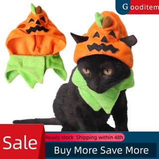 gooditem lindo mascota gato disfraz cosplay calabaza sombrero gorra halloween fiesta headwear decoración