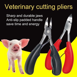 blinanddeaf Sharp Piggy Tooth Forceps Slip-proof Handle Elastic Spring Piglet Tooth Cutter Clipper for Pet