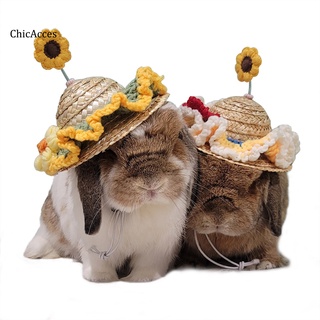 ChicAcces Suministros Al Aire Libre Decoración Mascota Sombrero Girasol Patrón Fotografía Prop Para