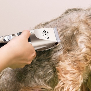 [aleación] herramienta de aseo para mascotas, cortador de pelo eléctrico, cuchillas reemplazables