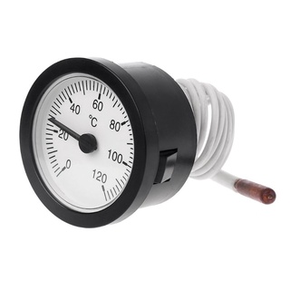 WER Dial termómetro capilar medidor de temperatura 0-120 c agua y aceite con Sensor de 1 m (4)
