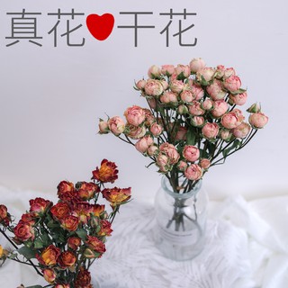 Flores secas, rosas compridas, bolhas brilhantes, buquês de flores secas de Yunnan, flores secas misturadas com mini flores secas