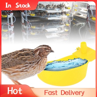 cd-10pcs automático waterers tazas cuencos alimentación agua herramienta para aves de corral de pollo