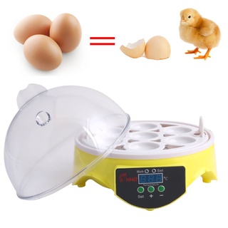 mini incubadora 7 huevos hatcher digital bird control de temperatura automático enchufe de ee.uu.
