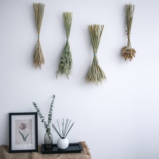 Highland cebada flores secas orejas de trigo cola de conejo hierba trigo cebada avena decoración del hogar elegante hábitat sur salvaje ins estilo nórdico (1)