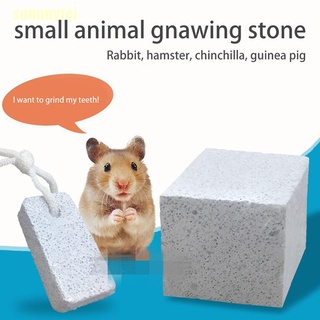 summytei Natural Mineral Teeth Molar Stone Small Pet Dental Care Chew Toys Pets Supplies GFWS