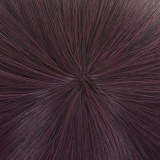 motosierra hombre-reze peluca cosplay púrpura oscuro pelo largo cola de caballo disfraz peluquín esponjoso halloween anime (6)