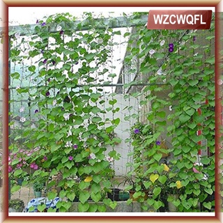 [Wzcwqfl] soporte de plantas de escalada en red, soporte para plantas de vid y verduras, soporte para plantas