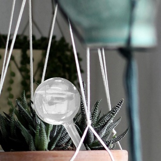 bylstore - dispositivo de agua (12 unidades, imitación de vidrio, riego por goteo, bola de viaje, transparente)