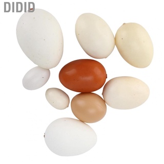 didid juego de 9 huevos falsos de plástico artificial huevo de pascua para pintar diy decoración del hogar fiesta niños juguete