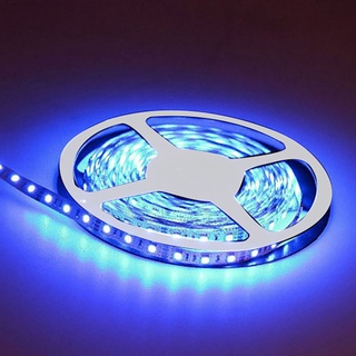 Trouvaille1_5m 3528 tira de luz Flexible LED impermeable 12V con 300 SMD LED azul