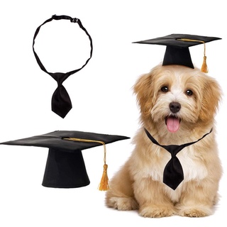 in2capitaleur nueva mascota graduación trajes fiesta sombreros perro sombrero graduación corbata gorra académica moda cosplay juguete fotografía ropas (4)