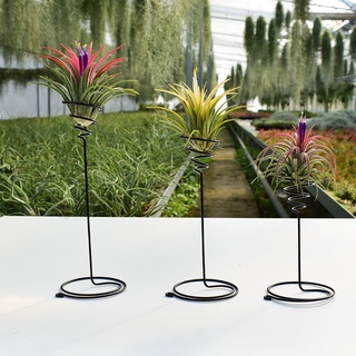 {FCC} 3 piezas de Metal Air piña soporte Base planta flor estante titular hogar balcón decoración {akindofstar.cl}