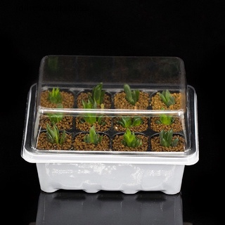 Jrcl 3pcs/set 12 Cell Seed Starter Kit Starting Plant Propagation Tray Dome Gardening Bliss