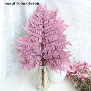 [beautifulandlovejr] 10 piezas de flores frescas naturales secas, hojas secas, hojas de helecho para siempre, decoración