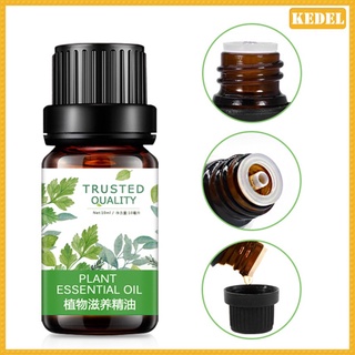 Kedel aceite De masaje Natural Puro Para relajación corporal/Anti-edad/aceite Hidratante