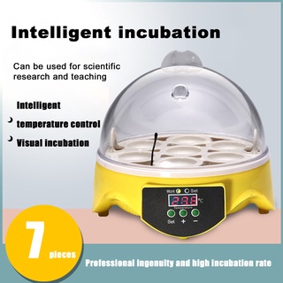 giftsuc Egg Incubator 7 Eggs Automatic ABS Temperature Sensing Poultry Hatcher for Farm