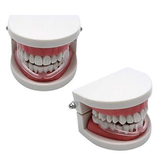 tala dientes bruxismo dental protector bucal prevenir la noche sueño ayuda herramientas apparente.cl (4)
