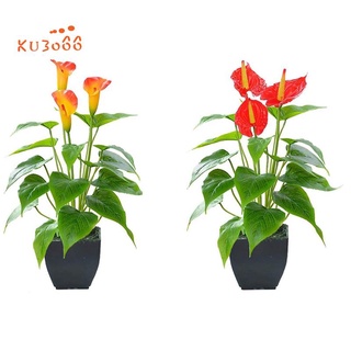 2 plantas artificiales de flores Calla Lily Faux pequeña maceta con maceta negra falsa flor Bonsai (rojo y naranja)
