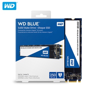 Cart O by Mem Ria) WD Blue SN550 NGFF Disco Sólido Interno SSD Disponible (250 Gb/500/1 Tb)