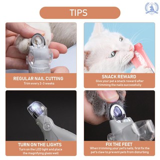 Listo stock iluminado gato mascota cortaúñas cortador de uñas de gato Trimmer gato tijera de uñas gato cortador de uñas características luz LED 5X Ma (9)