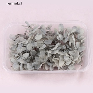 【remiel】 1Box Random Real Dried Flower Resin Mold Fillings UV Expoxy Flower Resin Molds CL (5)