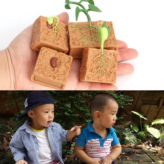 rom: niños plantando suministros estimulados plantas semillas mejores regalos de jardinería, favores