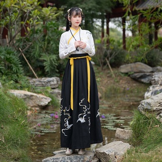 Bordado tradicional Hanfu mujer antigua espadachín de baile popular traje Vestido Oriental chino Martial-Arts Cosplay conjunto de disfraces (2)