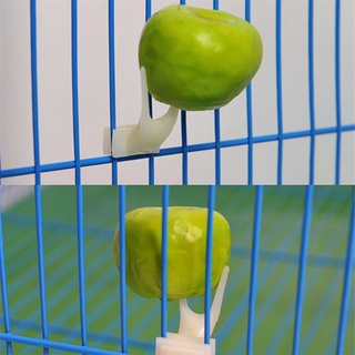 Mascota pájaros loros fruta horquilla almohadilla de plástico soporte de alimentos alimentación en jaula alimentador