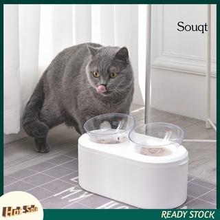 Sqgt Pet Cats - alimentador antideslizante, extraíble, Dual, para alimentos