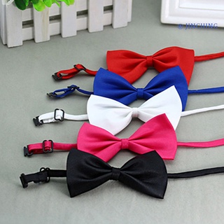 [Jinching] corbata de pajarita para mascotas, diseño de nailon decorativo, Color sólido, ajustable, para compras