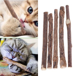 Nuevo gato limpieza dientes Molar palos Silvervine Actinidia pasta de dientes gato Snacks (1)