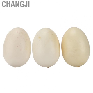 changji - juego de 9 huevos falsos de plástico artificial para pintura, decoración del hogar, fiesta, juguete para niños (2)